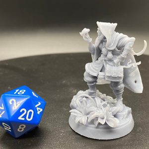 Alternative view of Druids of the Sacred Grove (11 piece set)