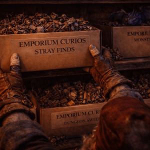 Stray Finds - Small Mystery Box