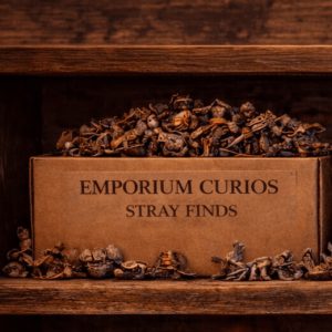 Stray Finds - Small Mystery Box